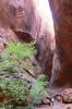 PICTURES/Burr Trail/t_Slot Canyon - Sharon at Back3.JPG